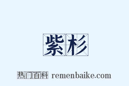 紫杉是什么意思的图片